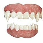 Vampire – Tinsley Transfers 3D FX Teeth – Uppers AND Lowers