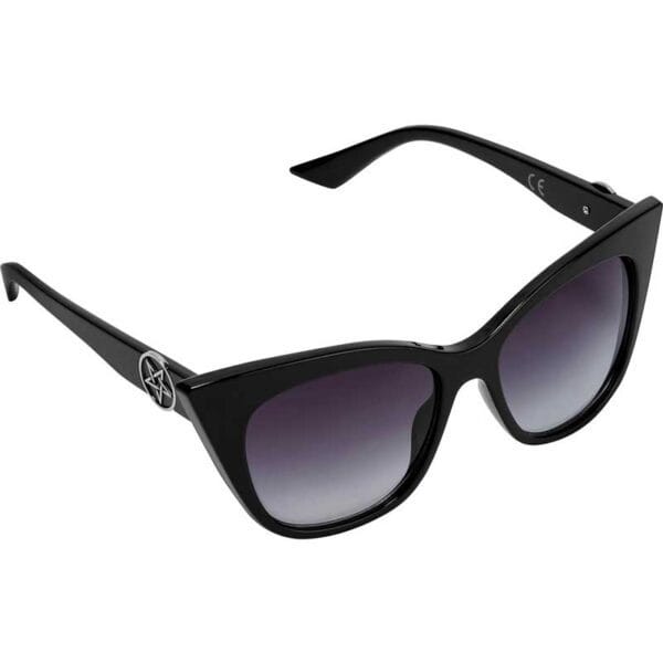 Rayzup Sunglasses Black