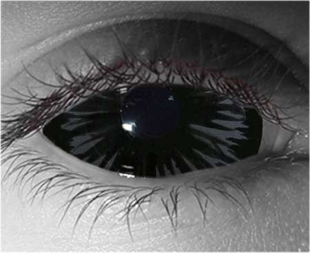 Corvinus M Sclera Contact Lenses 22mm – Gothika Custom – Pair
