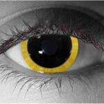Halo Gold Corneal Contact Lenses – Gothika Custom – Pair