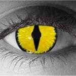 Viral Corneal Contact Lenses – Gothika Custom – Pair