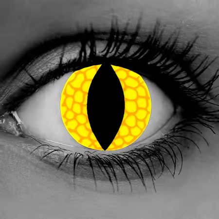 Yellow Reptile Lenses